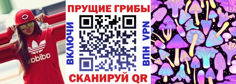 Галлюциногенные грибы мухоморы  как найти закладки  сайты даркнета наркотические препараты  Туран  гидра  
